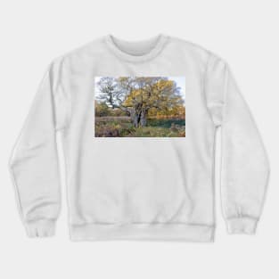 Royal Oak, Richmond Park Crewneck Sweatshirt